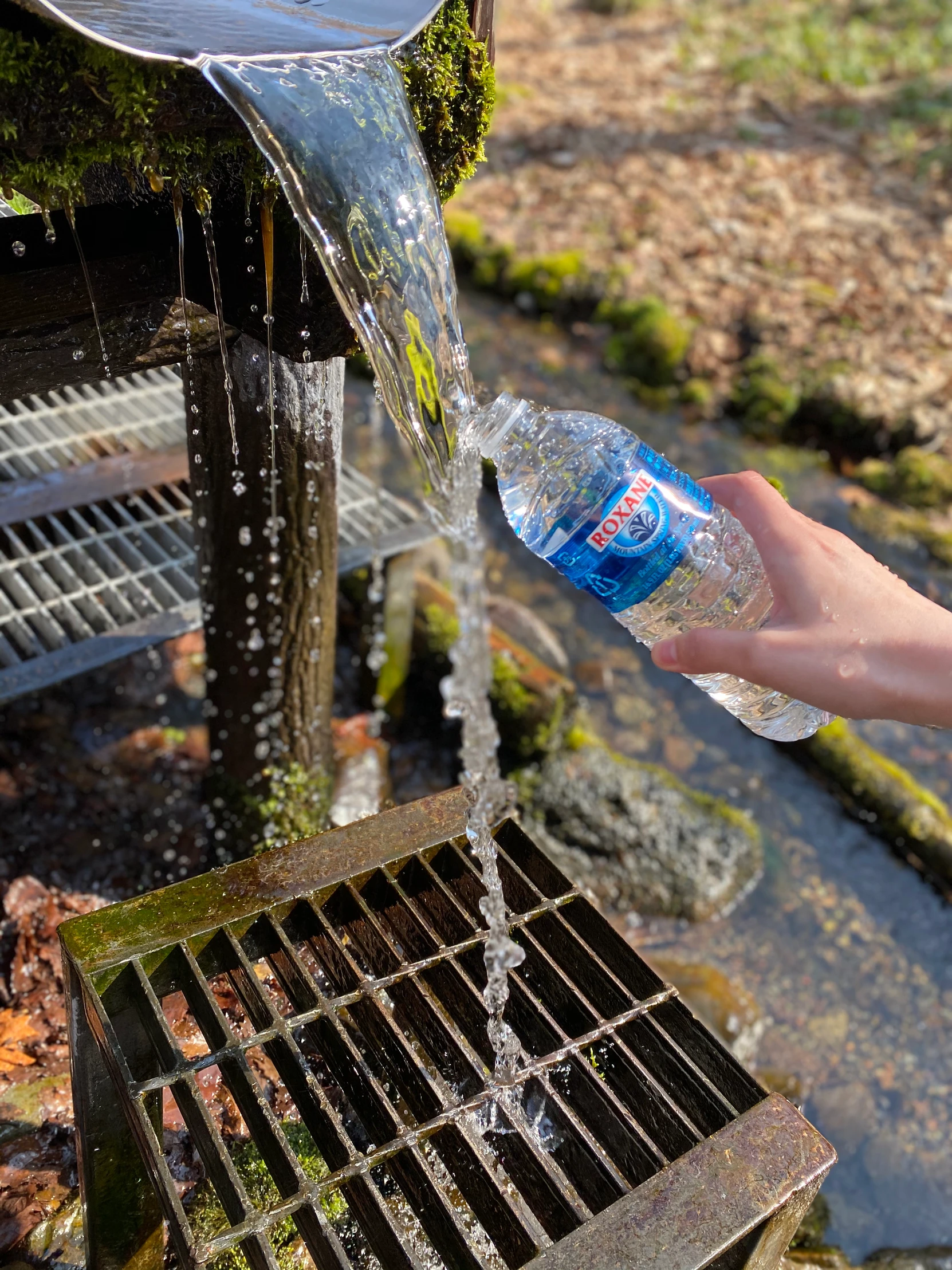 来運の水